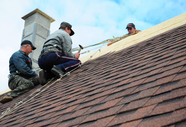 Best Storm Damage Roof Repair  in Hilliard, FL
